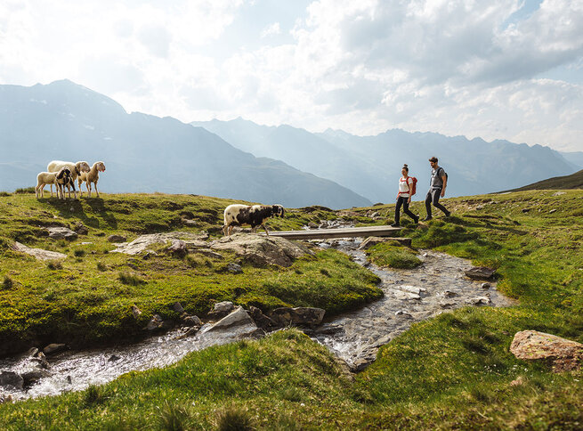 Zwei Personen gehen neben einem kleinen Bach in einer grasbewachsenen Berglandschaft spazieren. In der Nähe grasen Schafe, und in der Ferne erheben sich Berge unter einem teilweise bewölkten Himmel.